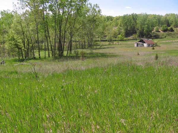 Manchester Speedway - May 2008 (newer photo)